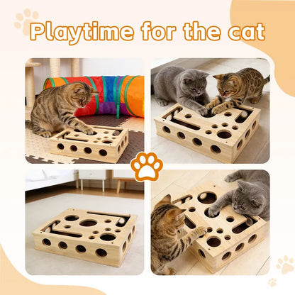 Cat Scratch Puzzle