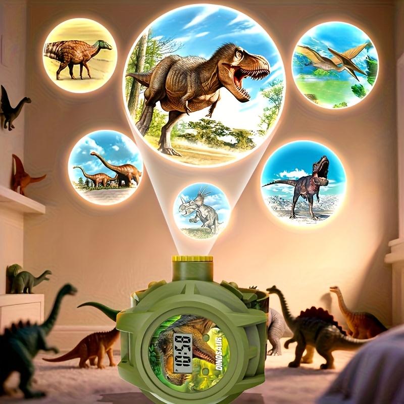 Dinosaur Projector Watch