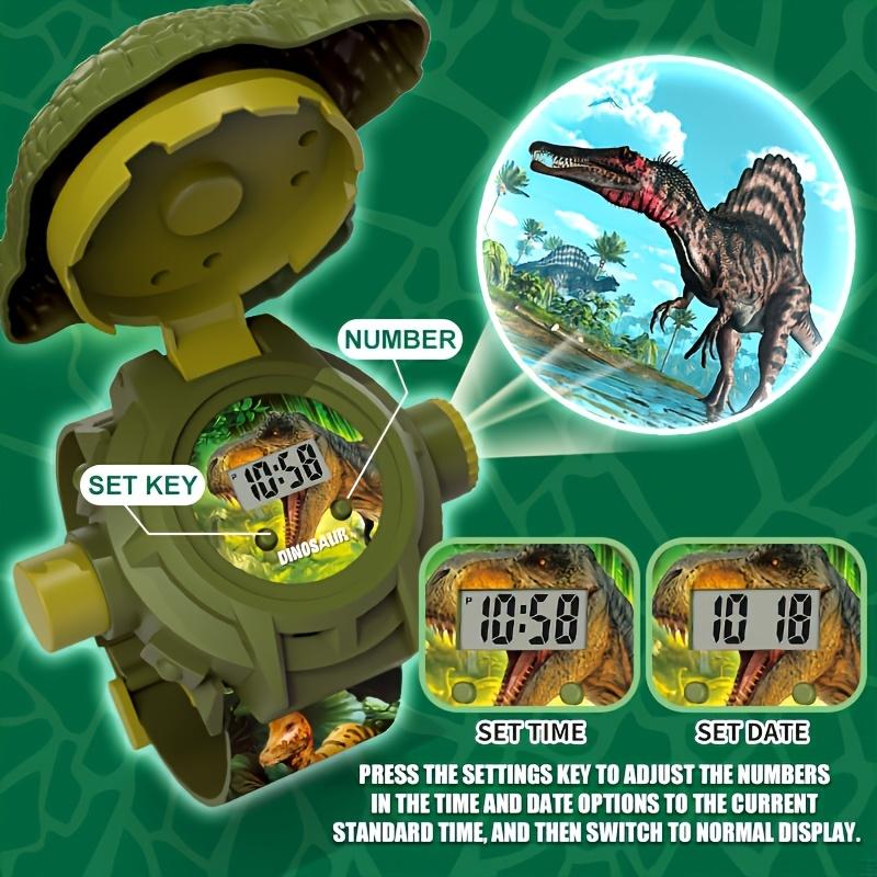 Dinosaur Projector Watch