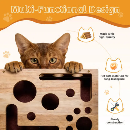 Cat Scratch Puzzle
