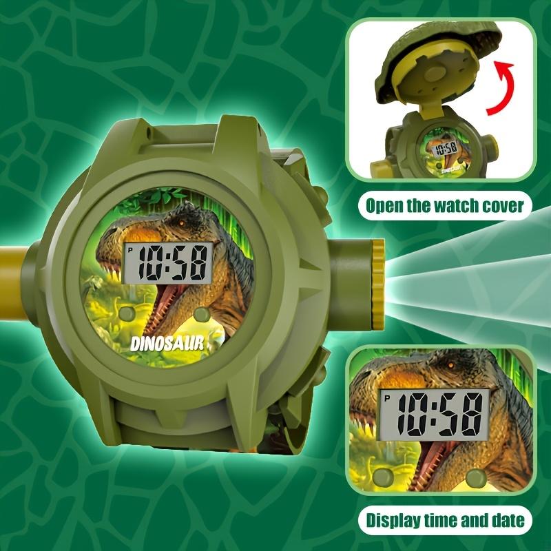 Dinosaur Projector Watch