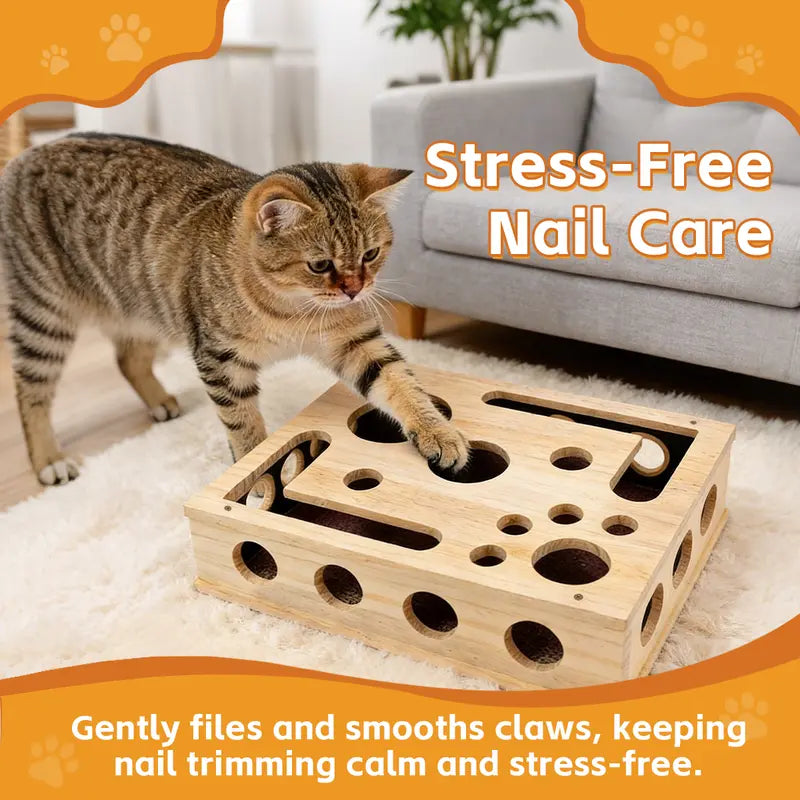 Cat Scratch Puzzle
