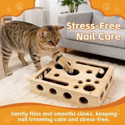 Cat Scratch Puzzle