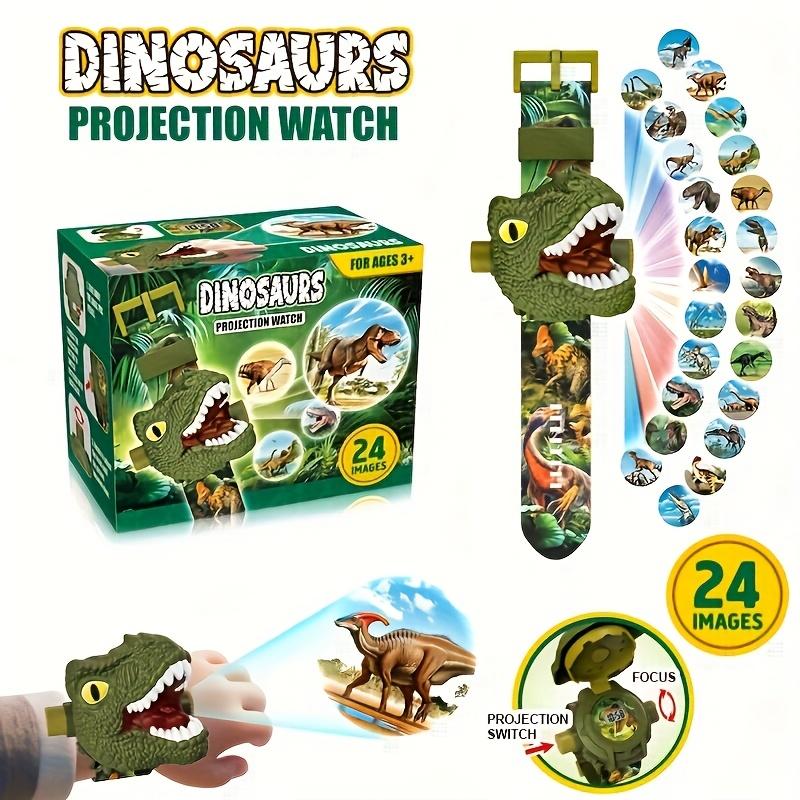 Dinosaur Projector Watch