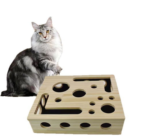 Cat Scratch Puzzle