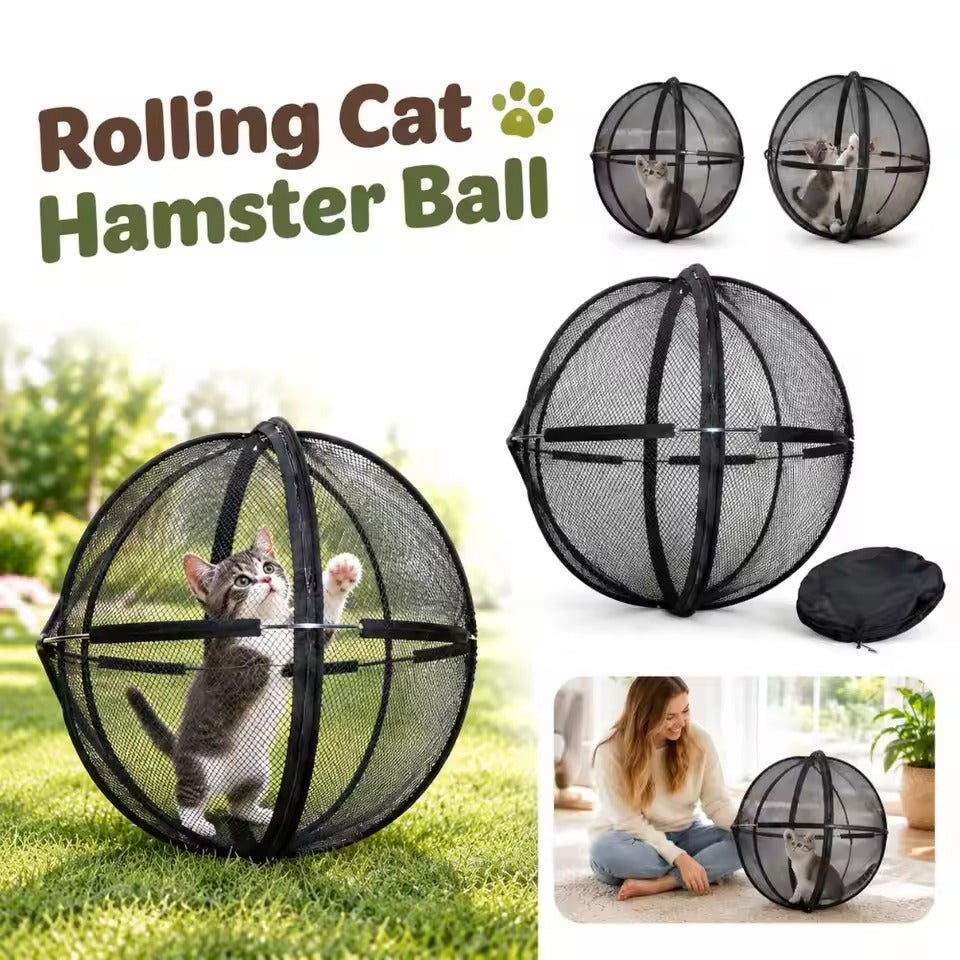 Cat Mesh Ball